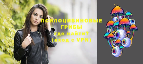 тгк Магадан