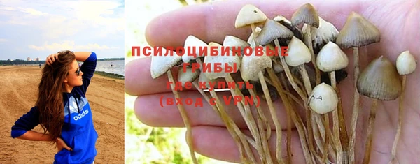2c-b Лабытнанги