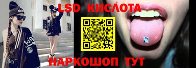 индика Новозыбков
