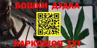 индика Новозыбков
