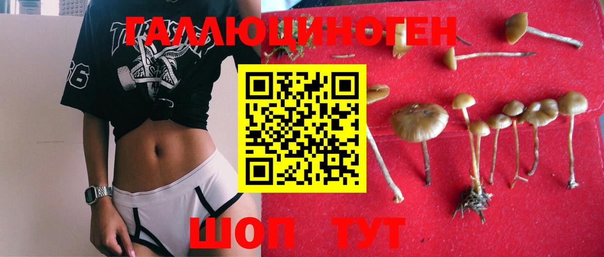 Галлюциногенные грибы Psilocybe  Псилоцибиновые грибы прущие грибы  Югорск  где купить наркоту  Вход с VPN 